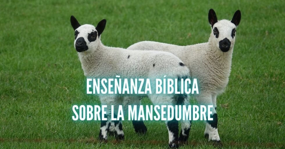 Enseñanza Bíblica Sobre La Mansedumbre Tigard Tabernacle